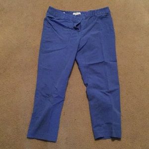 Women’s dress pants